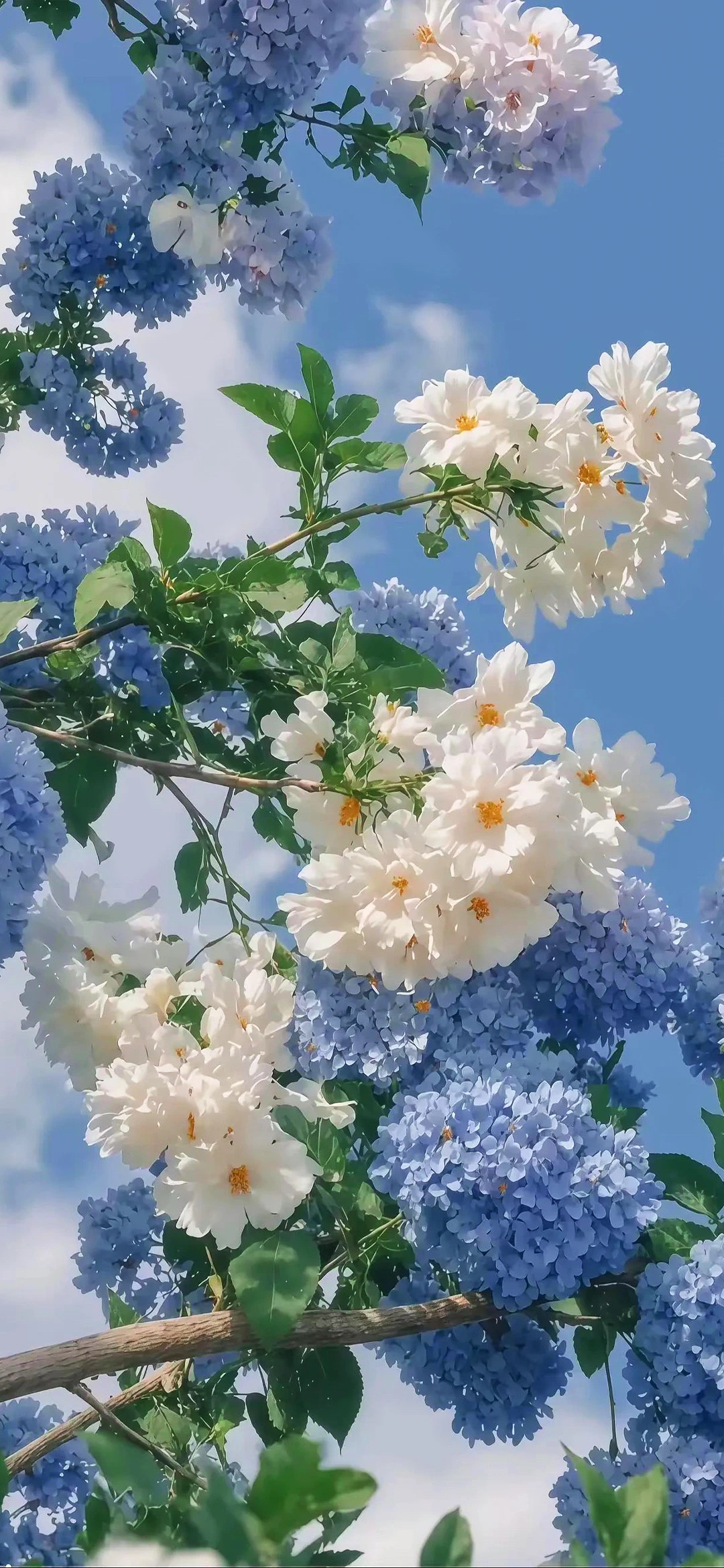 精选壁纸 | 美女壁纸 | 渣男必备壁纸