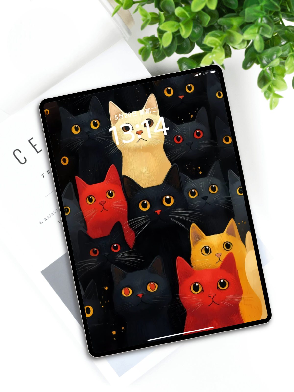 满屏萌猫插画壁纸丨手机电脑iPad笔记本全套高清可爱猫咪背景图