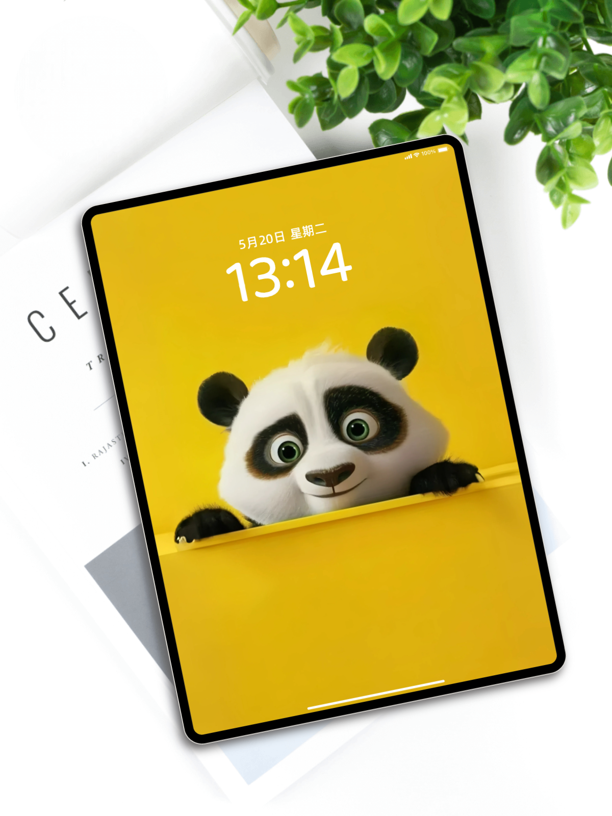 萌趣熊猫壁纸|高清手机电脑平板全套可爱熊猫背景下载