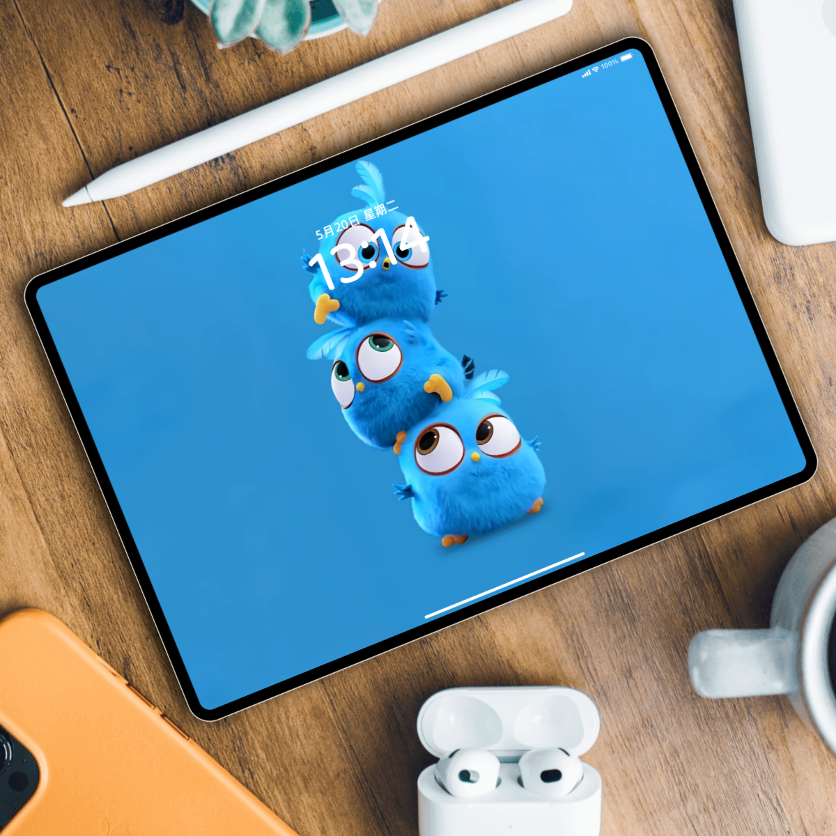 蓝色小鸟萌宠壁纸丨手机电脑iPad笔记本全套高清可爱卡通背景图