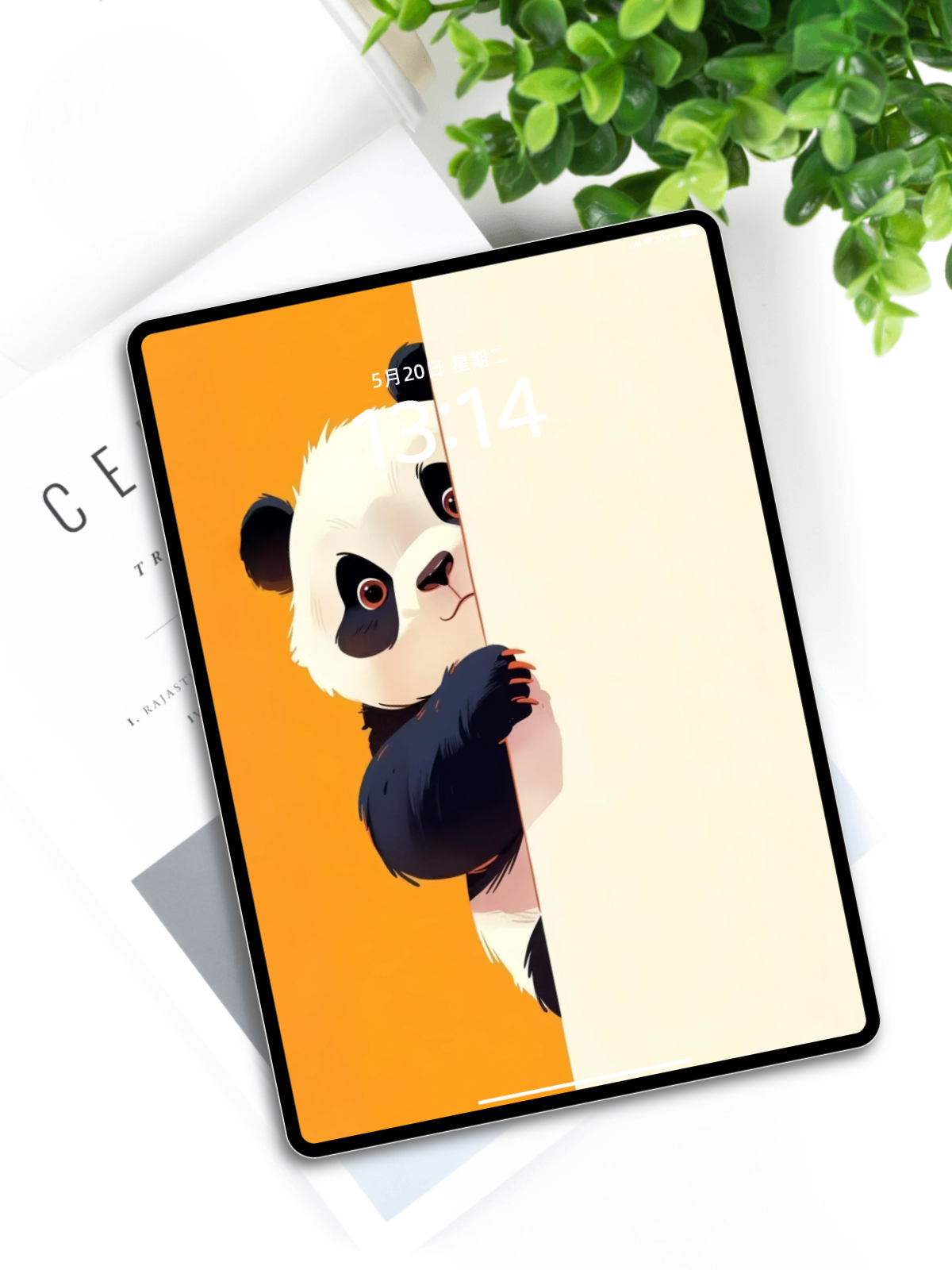 趴墙的熊猫壁纸|可爱插画风高清手机电脑平板壁纸下载